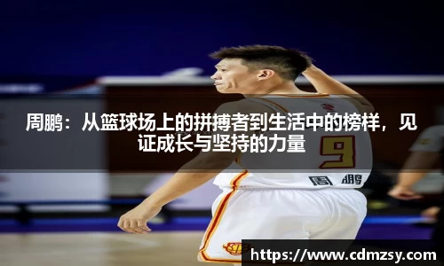 mk体育