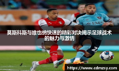 mk体育官网